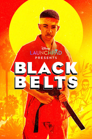 Black Belts (2023) เรื่องพากย์ไทย มาสเตอร์ the best