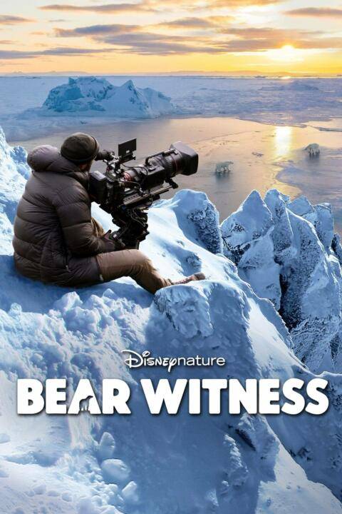 Bear Witness (2022)