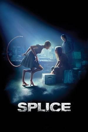 Splice (2009) สัตว์สาวกลายพันธุ์ล่าสยองโลก