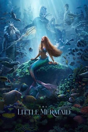 The Little Mermaid (2023) เงือกน้อยผจญภัย ดูหนังคุณภาพ HD