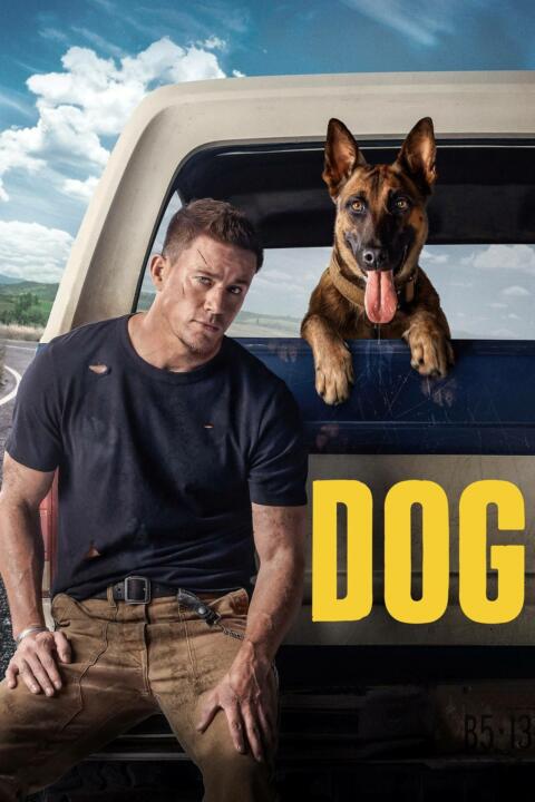 Dog (2022) ด็อก เพื่อนกันพันธุ์ห้าว