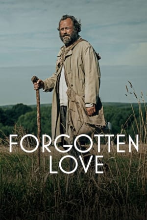 Forgotten Love (2023) รักที่ถูกลืม ดูหนังคุณภาพ HD